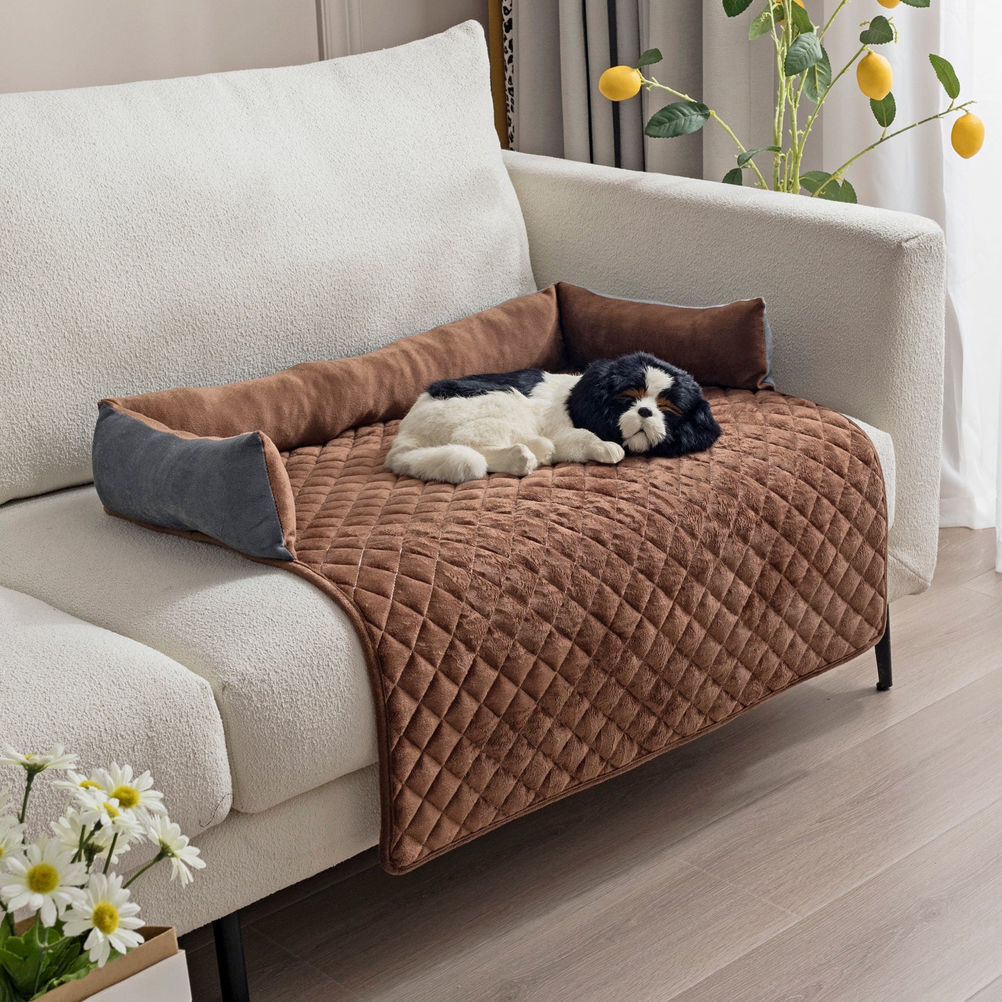 Lit Cocon Douillet Câlino – Couchage Moelleux pour Chien et Chat