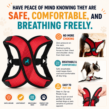 Harnais Anti-Traction Câlino – Sécurité et Confort pour Chien