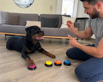 Boutons Parlants Câlino – Communication pour Chien