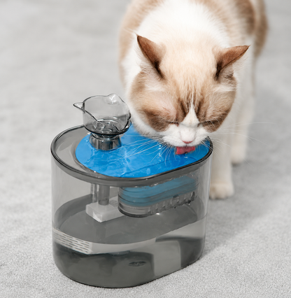 Fontaine à Eau Silencieuse Câlino – Hydratation Fraîche pour Chat