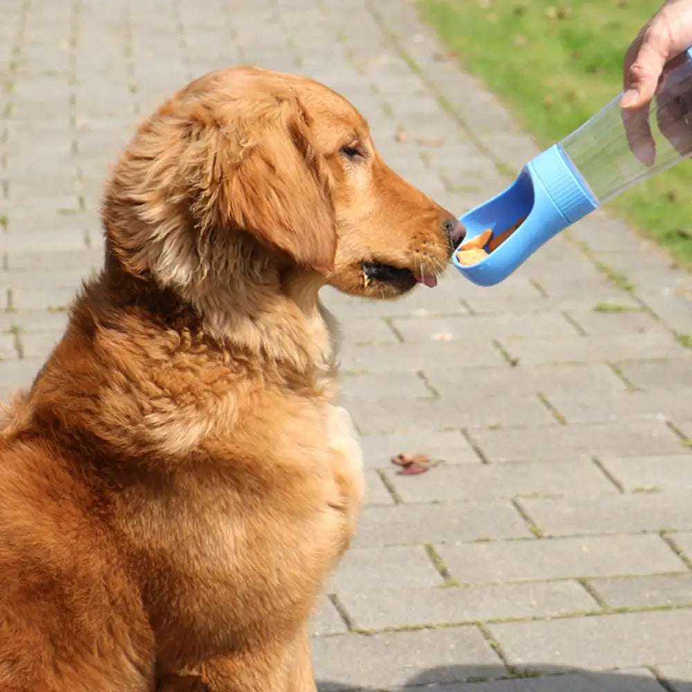 The Ultimate 2-in-1 Portable Dog Water Bottle & Food Dispenser - Perfect for Outdoor Adventures with Your Furry Friends!
